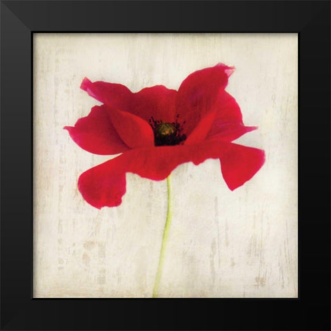 Red I Black Modern Wood Framed Art Print by Melious, Amy