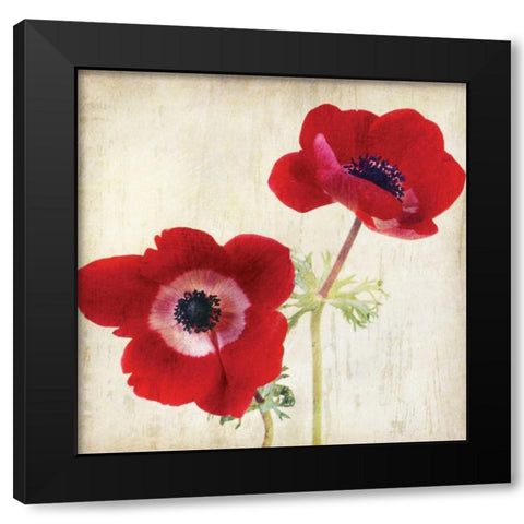 Red II Black Modern Wood Framed Art Print with Double Matting by Melious, Amy