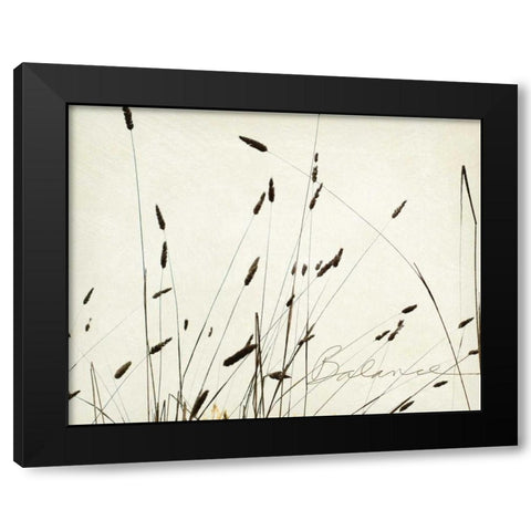 Grass Balance Black Modern Wood Framed Art Print with Double Matting by Melious, Amy