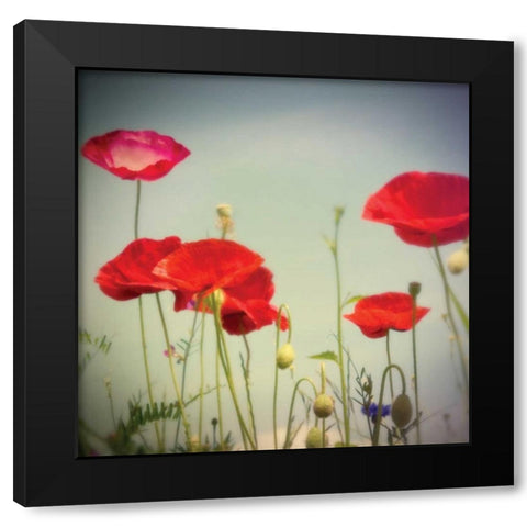 Bloom I Black Modern Wood Framed Art Print with Double Matting by Melious, Amy
