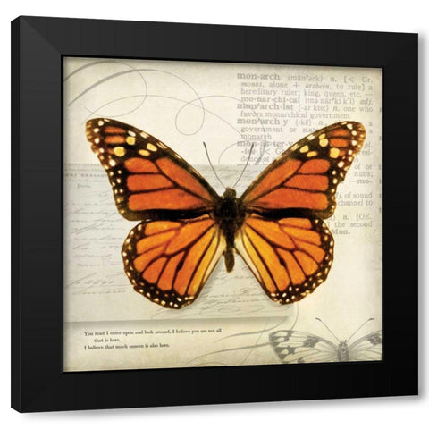 Butterflies Script II Black Modern Wood Framed Art Print with Double Matting by Melious, Amy