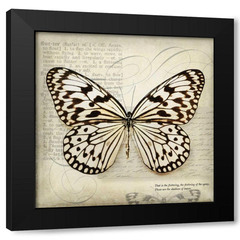 Butterflies Script III Black Modern Wood Framed Art Print with Double Matting by Melious, Amy