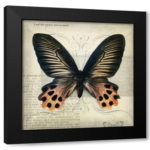 Butterflies Script IV Black Modern Wood Framed Art Print by Melious, Amy