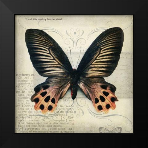 Butterflies Script IV Black Modern Wood Framed Art Print by Melious, Amy