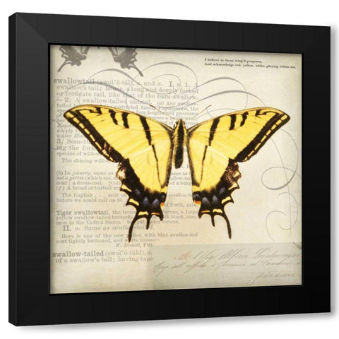 Butterflies Script V Black Modern Wood Framed Art Print by Melious, Amy