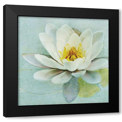 Magnolia Sq. Black Modern Wood Framed Art Print with Double Matting by Melious, Amy