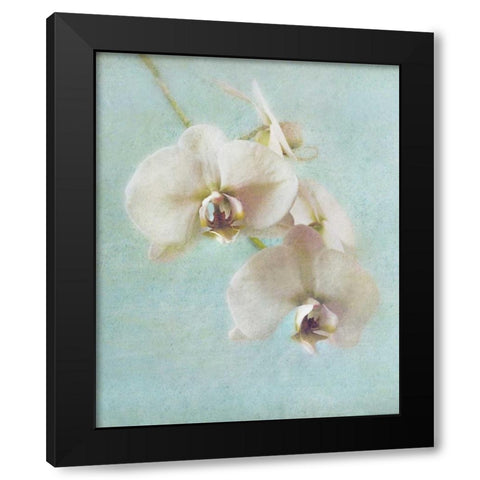 Aqua Floral I Black Modern Wood Framed Art Print by Melious, Amy