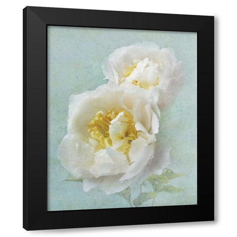 Aqua Floral III Black Modern Wood Framed Art Print with Double Matting by Melious, Amy
