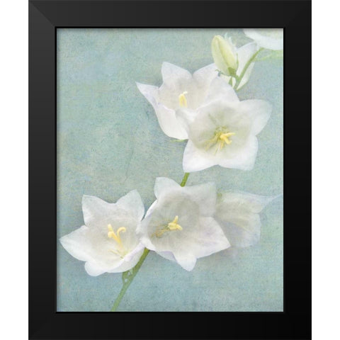 Aqua Floral IV Black Modern Wood Framed Art Print by Melious, Amy