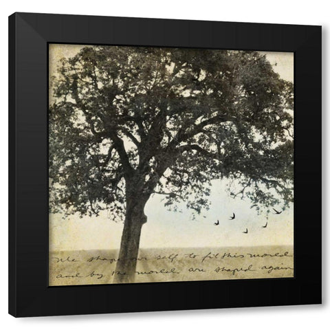 Under the Trees I Black Modern Wood Framed Art Print with Double Matting by Melious, Amy