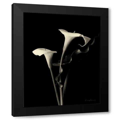 Botanical Elegance Calla III Black Modern Wood Framed Art Print by Melious, Amy