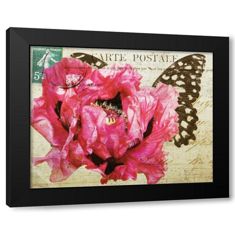 Carte Postale Poppy Black Modern Wood Framed Art Print by Melious, Amy