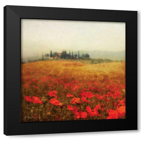 Tuscan Poppies Black Modern Wood Framed Art Print with Double Matting by Melious, Amy