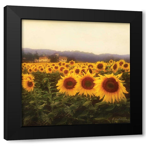 Tuscan Sunflowers Black Modern Wood Framed Art Print with Double Matting by Melious, Amy