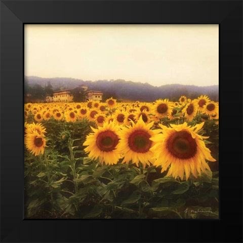 Tuscan Sunflowers Black Modern Wood Framed Art Print by Melious, Amy