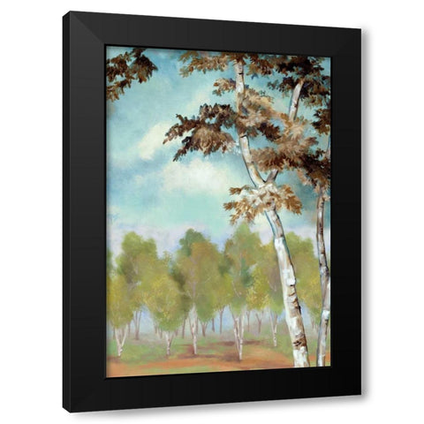 Birch Forest II Black Modern Wood Framed Art Print by Ferry, Margaret