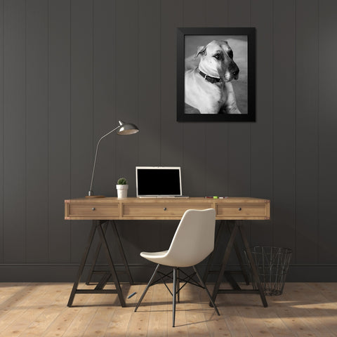 Great Dane Black and White Black Modern Wood Framed Art Print by Millet, Karyn