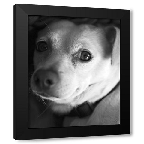 Second Glance Black and White Black Modern Wood Framed Art Print with Double Matting by Millet, Karyn
