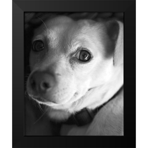 Second Glance Black and White Black Modern Wood Framed Art Print by Millet, Karyn