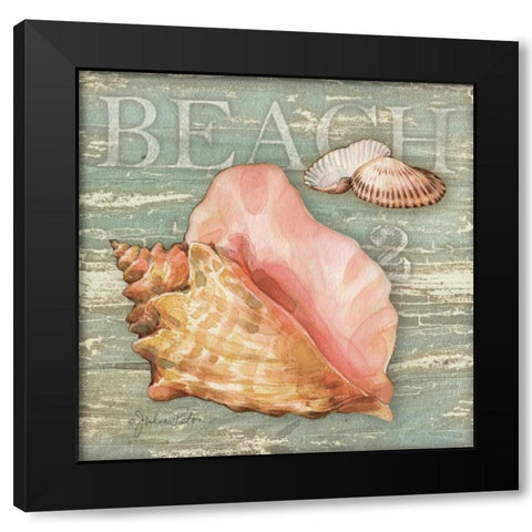 Beach Shells Conch Black Modern Wood Framed Art Print by Paton, Julie