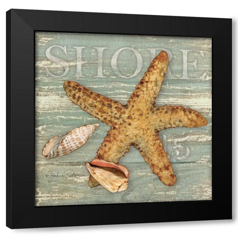 Beach Shells Starfish Black Modern Wood Framed Art Print with Double Matting by Paton, Julie