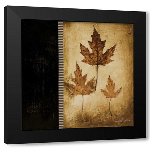 Maple Leaves III Black Modern Wood Framed Art Print with Double Matting by Poloson, Kimberly