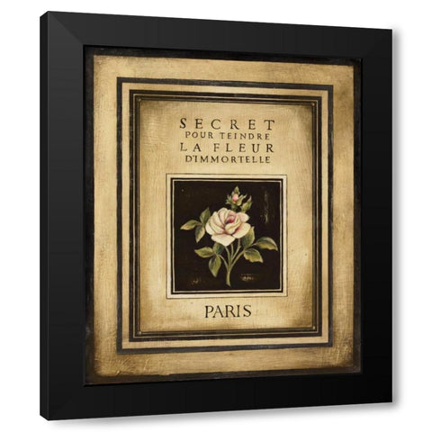 Les Fleurs de Paris I Black Modern Wood Framed Art Print with Double Matting by Poloson, Kimberly