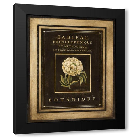 Les Fleurs de Paris II Black Modern Wood Framed Art Print by Poloson, Kimberly