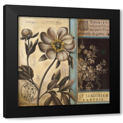 Belle Fleur II Black Modern Wood Framed Art Print with Double Matting by Poloson, Kimberly