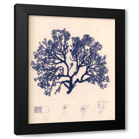 Blue Botanical Study I Black Modern Wood Framed Art Print by Poloson, Kimberly