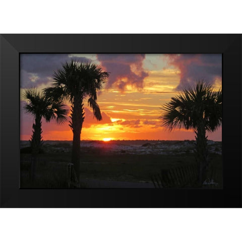 Sunset Palms I Black Modern Wood Framed Art Print by Williams, Alex