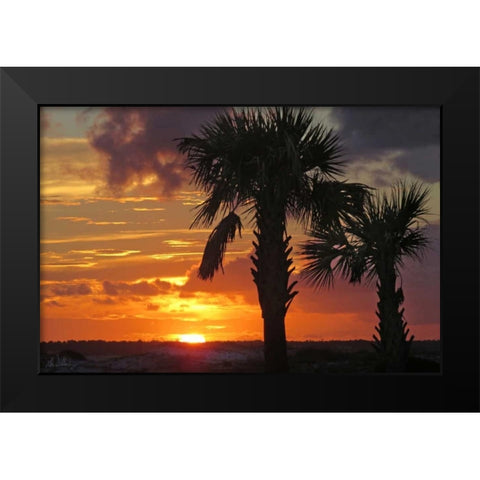 Sunset Palms II Black Modern Wood Framed Art Print by Williams, Alex