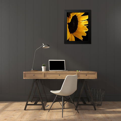 Sunlit Sunflowers II Black Modern Wood Framed Art Print by Burkhart, Monika