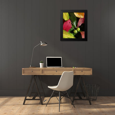 Fall Colors I Black Modern Wood Framed Art Print by Burkhart, Monika