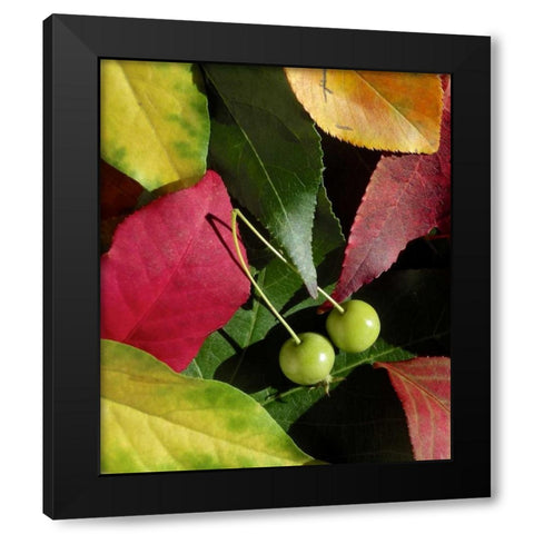 Fall Colors I Black Modern Wood Framed Art Print by Burkhart, Monika