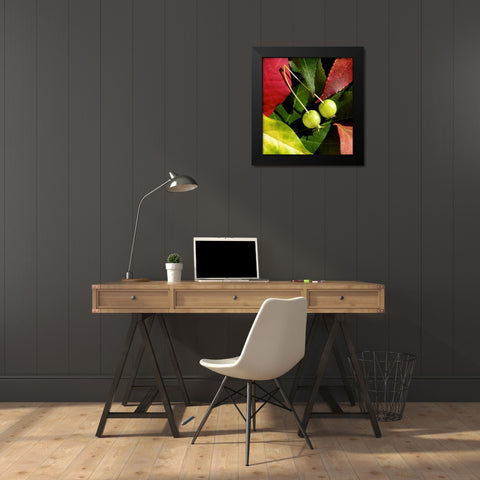 Fall Colors II Black Modern Wood Framed Art Print by Burkhart, Monika