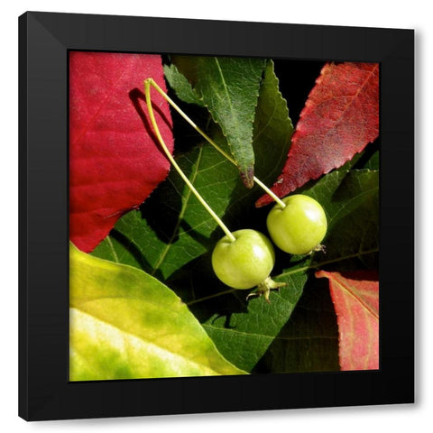 Fall Colors II Black Modern Wood Framed Art Print with Double Matting by Burkhart, Monika
