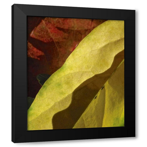 Fall Colors IV Black Modern Wood Framed Art Print with Double Matting by Burkhart, Monika