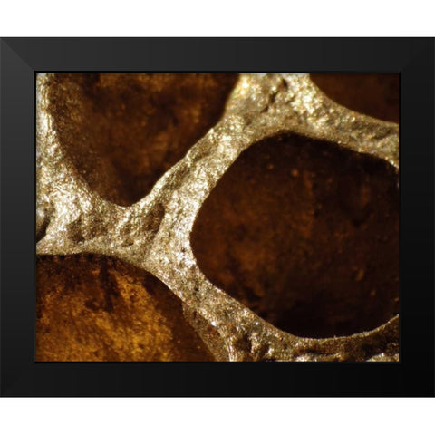 Lotus Pods III Black Modern Wood Framed Art Print by Burkhart, Monika