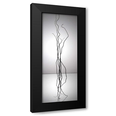 Natures Reflections I Black Modern Wood Framed Art Print with Double Matting by Burkhart, Monika