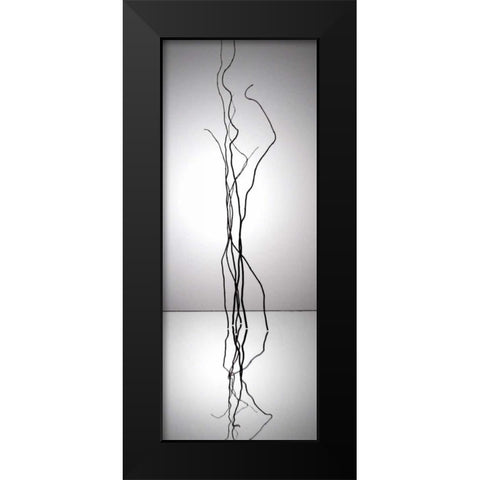 Natures Reflections I Black Modern Wood Framed Art Print by Burkhart, Monika