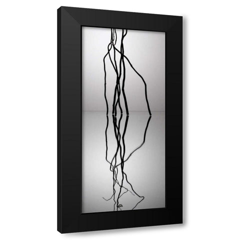 Natures Reflections II Black Modern Wood Framed Art Print by Burkhart, Monika