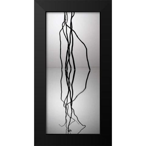 Natures Reflections II Black Modern Wood Framed Art Print by Burkhart, Monika