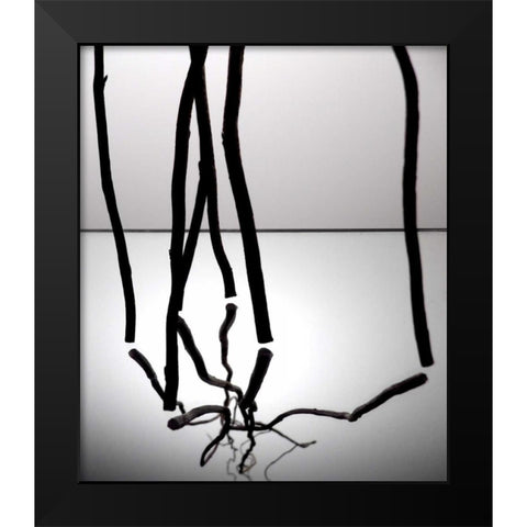 Natures Reflections III Black Modern Wood Framed Art Print by Burkhart, Monika