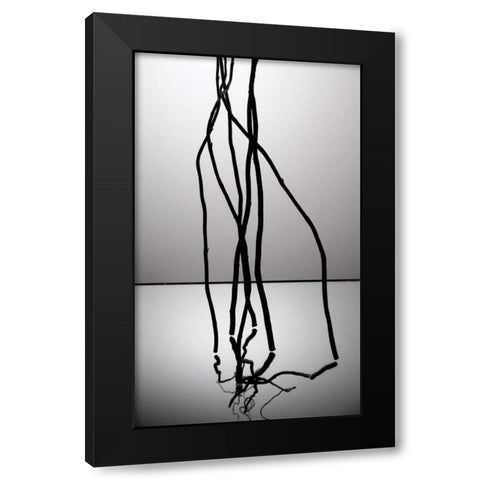 Natures Reflections IV Black Modern Wood Framed Art Print by Burkhart, Monika