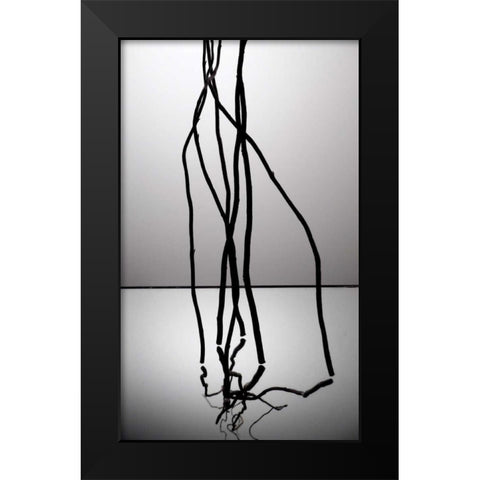 Natures Reflections IV Black Modern Wood Framed Art Print by Burkhart, Monika