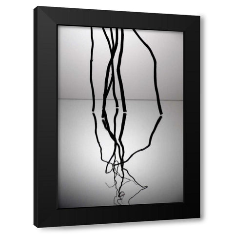 Natures Reflections V Black Modern Wood Framed Art Print by Burkhart, Monika