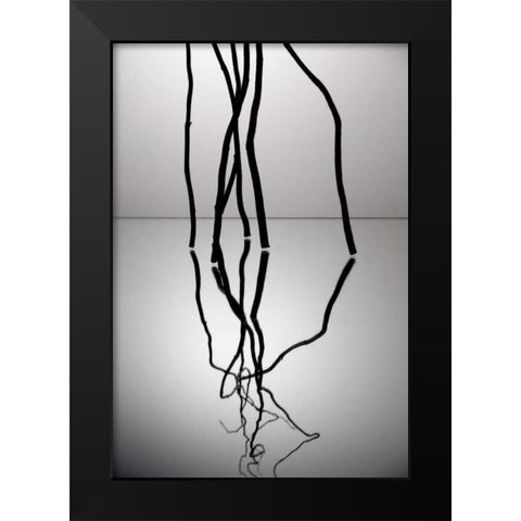Natures Reflections V Black Modern Wood Framed Art Print by Burkhart, Monika