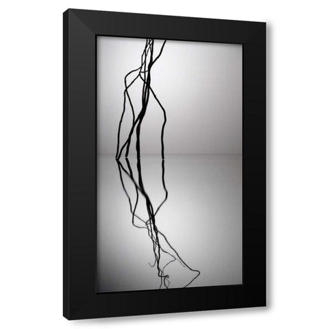 Natures Reflections VI Black Modern Wood Framed Art Print with Double Matting by Burkhart, Monika