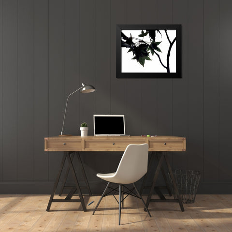 Maple Branch I Black Modern Wood Framed Art Print by Burkhart, Monika